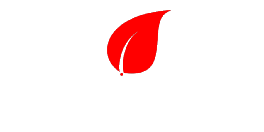 Almendro factura electrónica